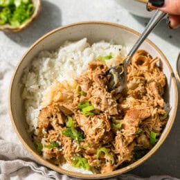 Sesame Chicken with rice